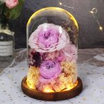 Roses Eternelles Naturelles Violette