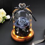 Magnifique Rose Eternelle sous clochelumineuse - Rose Eternelle La boutique