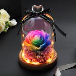 Magnifique Rose Eternelle sous clochelumineuse - Rose Eternelle La boutique