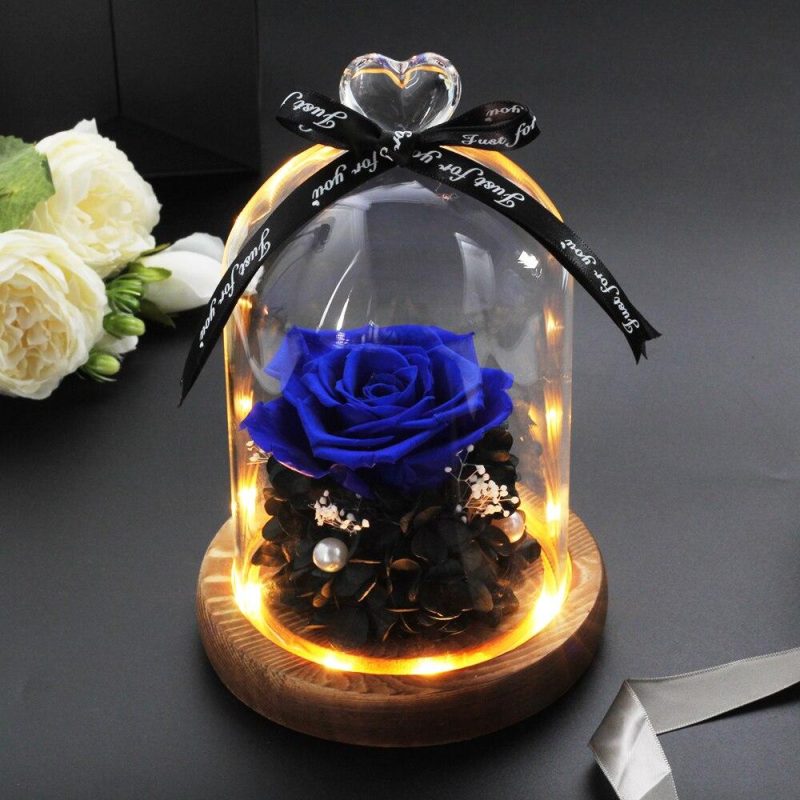 Magnifique Rose Eternelle sous clochelumineuse - Rose Eternelle La boutique