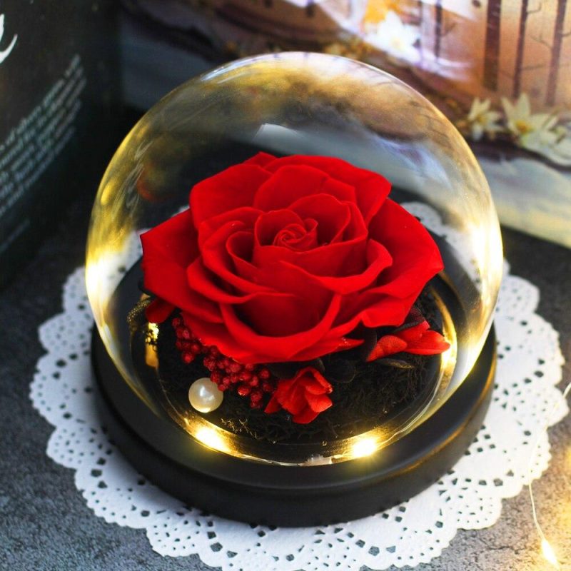 Rose Eternelle Rouge sous Cloche Ronde - Rose Eternelle La boutique