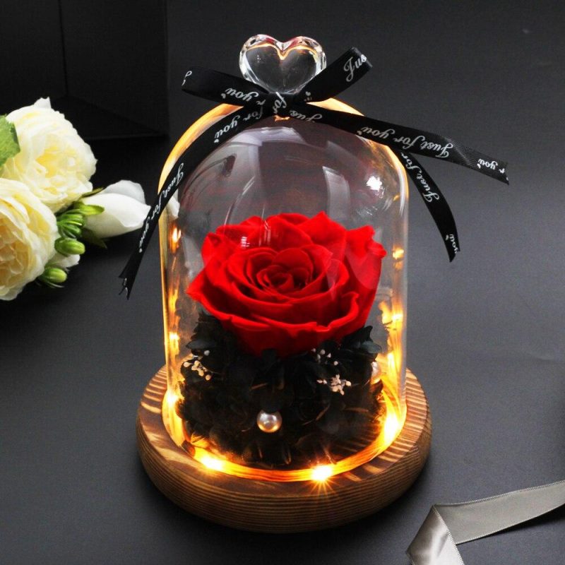 Magnifique Rose Eternelle sous clochelumineuse - Rose Eternelle La boutique