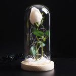 Rose eternelle BlancheEncore ferme - Rose Eternelle La boutique