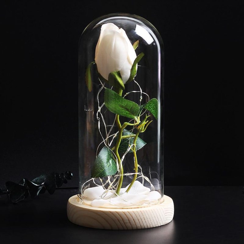 Rose eternelle BlancheEncore ferme - Rose Eternelle La boutique