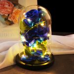 Rose Eternelle La boutique Rose eternelle sous cloche (plusieurs couleur disponible)