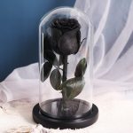 Rose Eternelle Sous Cloche Noir